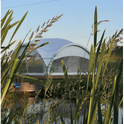 Arched Pavilion (rent) Arched Pavilion (rent)