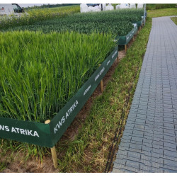 Plastic flooring (rent) Plastic flooring (rent)